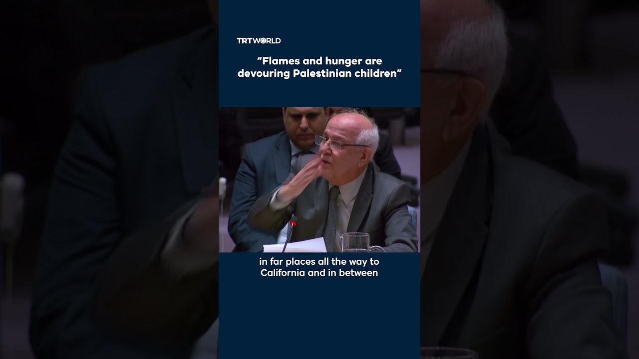 UN Palestinian Ambassador Riyad Mansour breaks down over Gaza&rsquo;s children