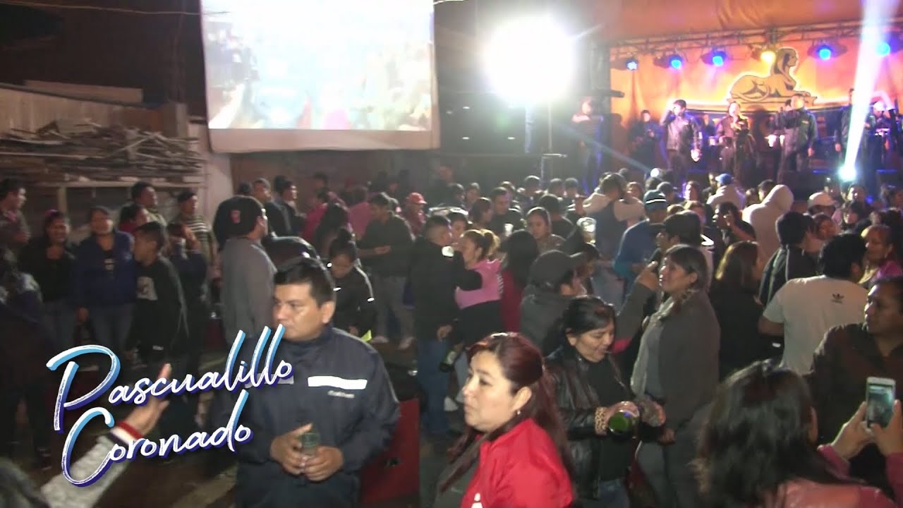 ✔PASCUALILLO CORONADO⭐Mix: Clemencia, Tristeza en mi alma,.. //Fiesta Patron San Pedro