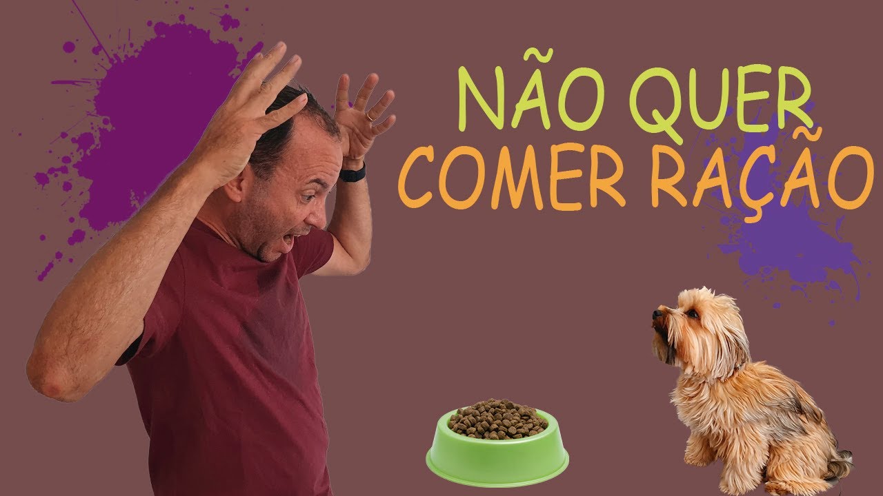 Cão não quer comer ração ! o que fazer?