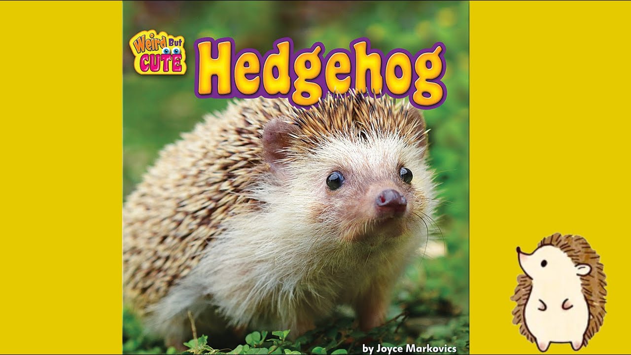 Hedgehog By Joyce Markovics | Educational Books About Animals