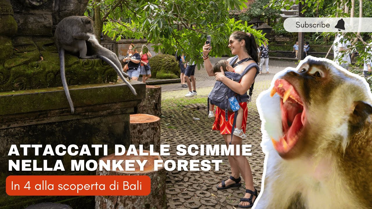 Attaccati dalle scimmie nella Monkey Forest | Viaggio a Bali con Bambini