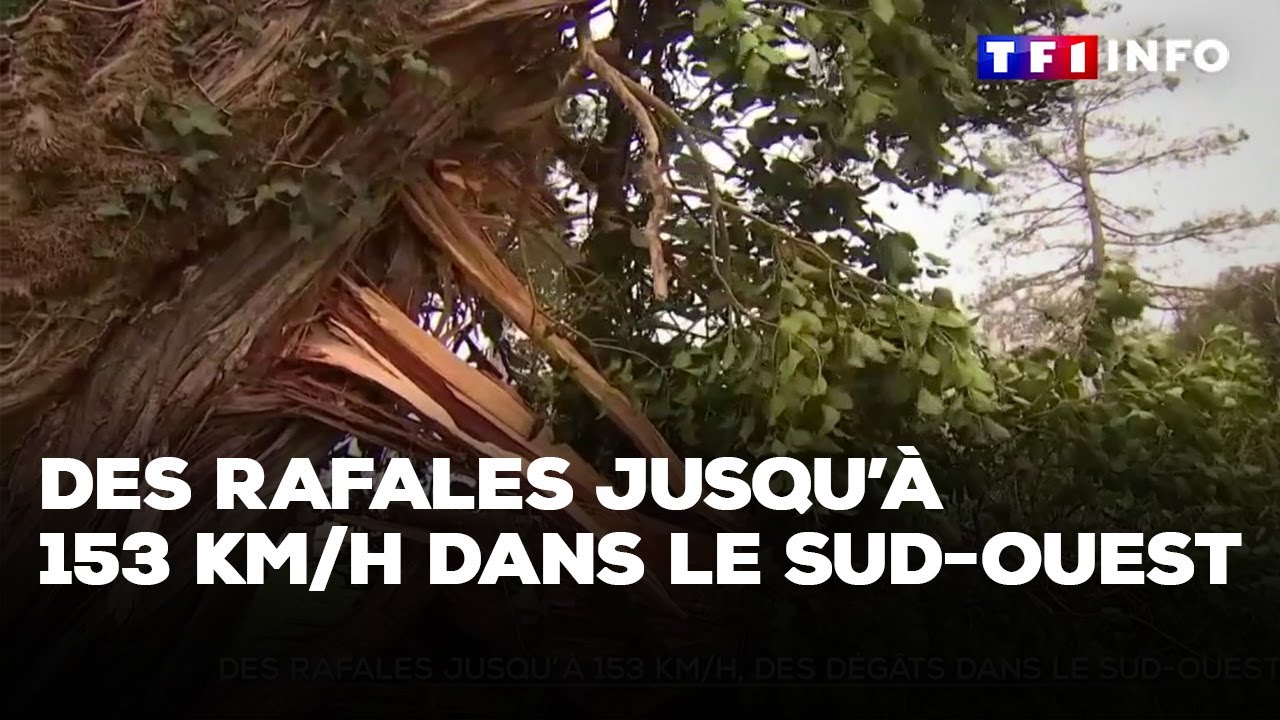 Des rafales jusqu'à 153 km/h et des dégâts dans le Sud-Ouest ｜TF1 INFO