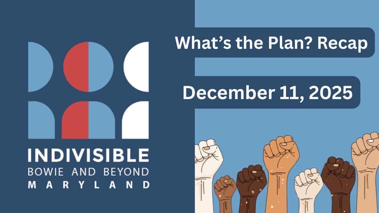 A candid review of Indivisible National 