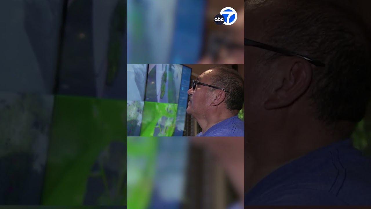 UPS driver appears to open package, steal Apple Watch in South LA