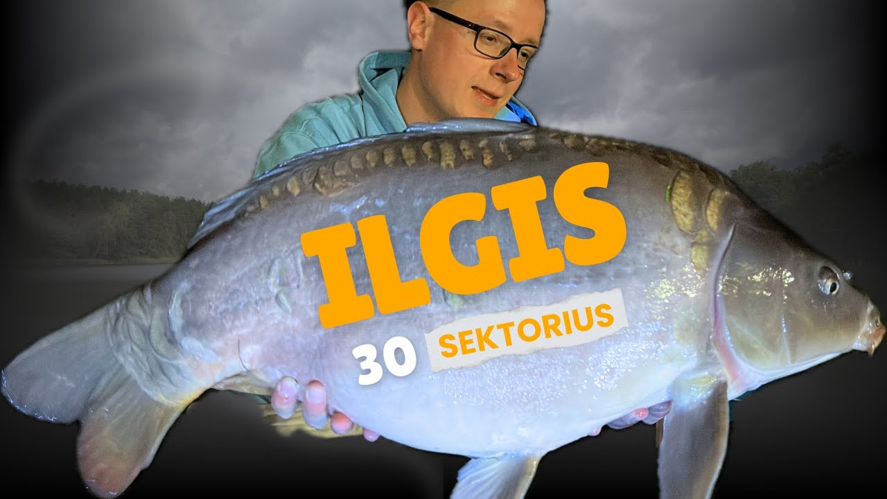 #4 Karpių žvejyba. Rekordai Ilgio ežere? Ilgis – 30 sektorius, ruduo.