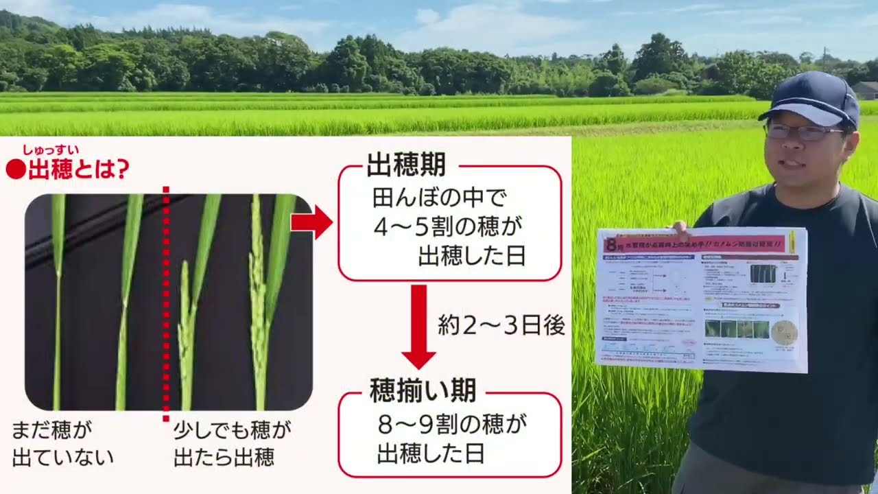 【JA佐渡水稲】水管理指導会_230803