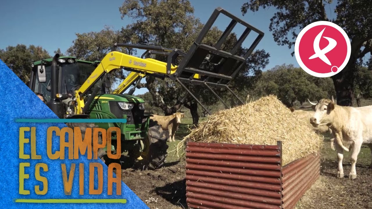 Clases de conducción de tractor | El campo es vida