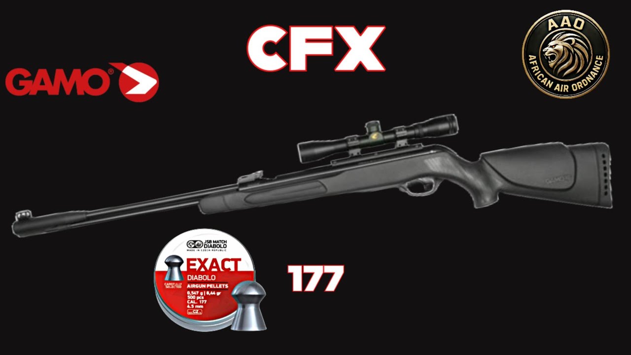Тест Gamo CFX 177 кал на 25 ярдах с пулями JSB 8,44 гран