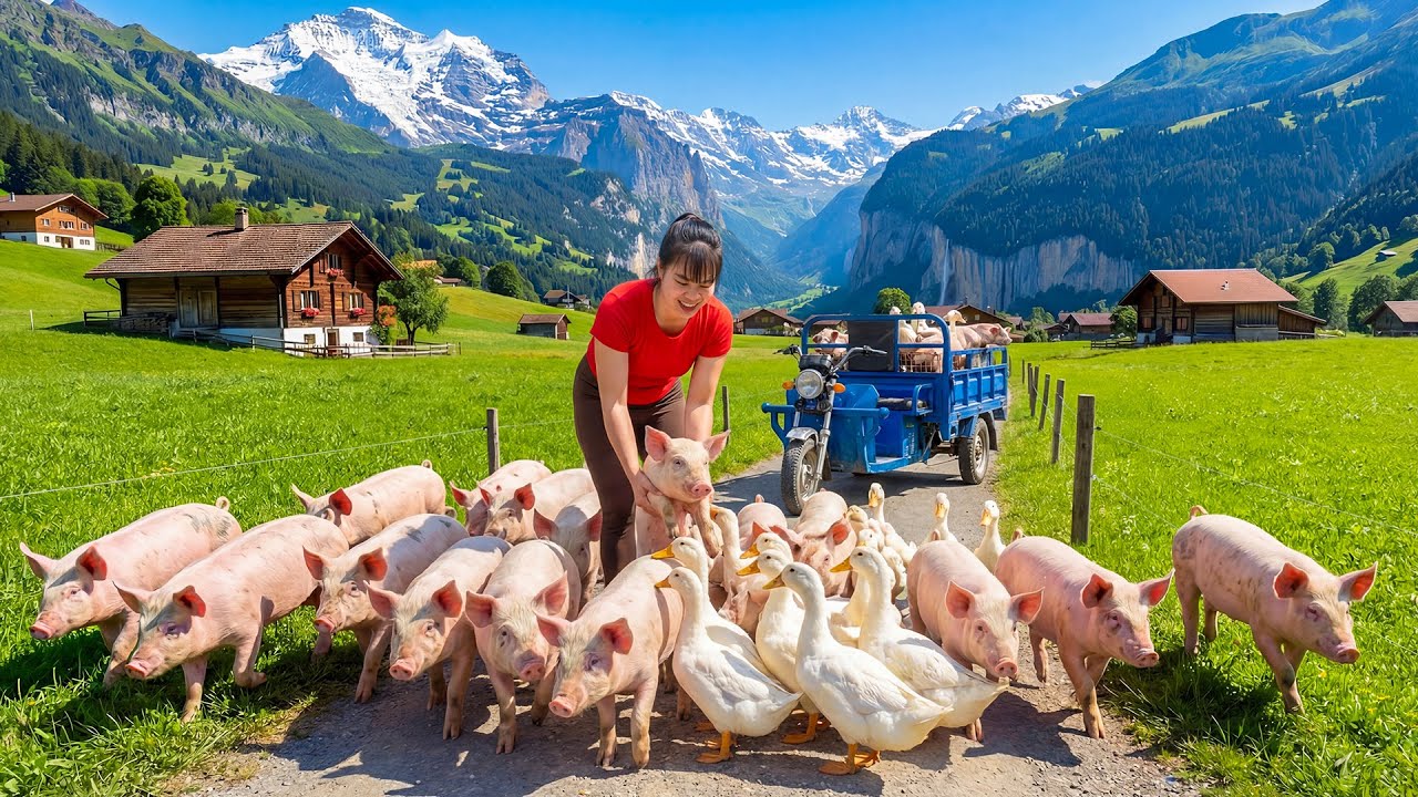 TIMELAPSE -- Buy Many Giant Piglets & Ducklings from Abandoned Farm | Cooking Marinated Black Pork
