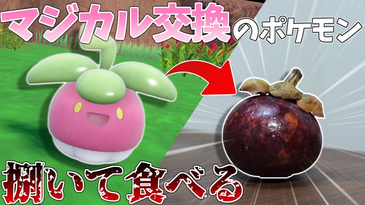 マジカル交換で流れてきたポケモンを捌いて食べる企画で果実の女王食べたったｗｗｗ【ポケモンsv】