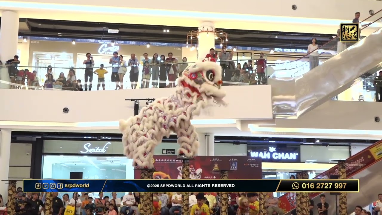 彭亨關丹建造行武術醒獅團 // 高樁南獅