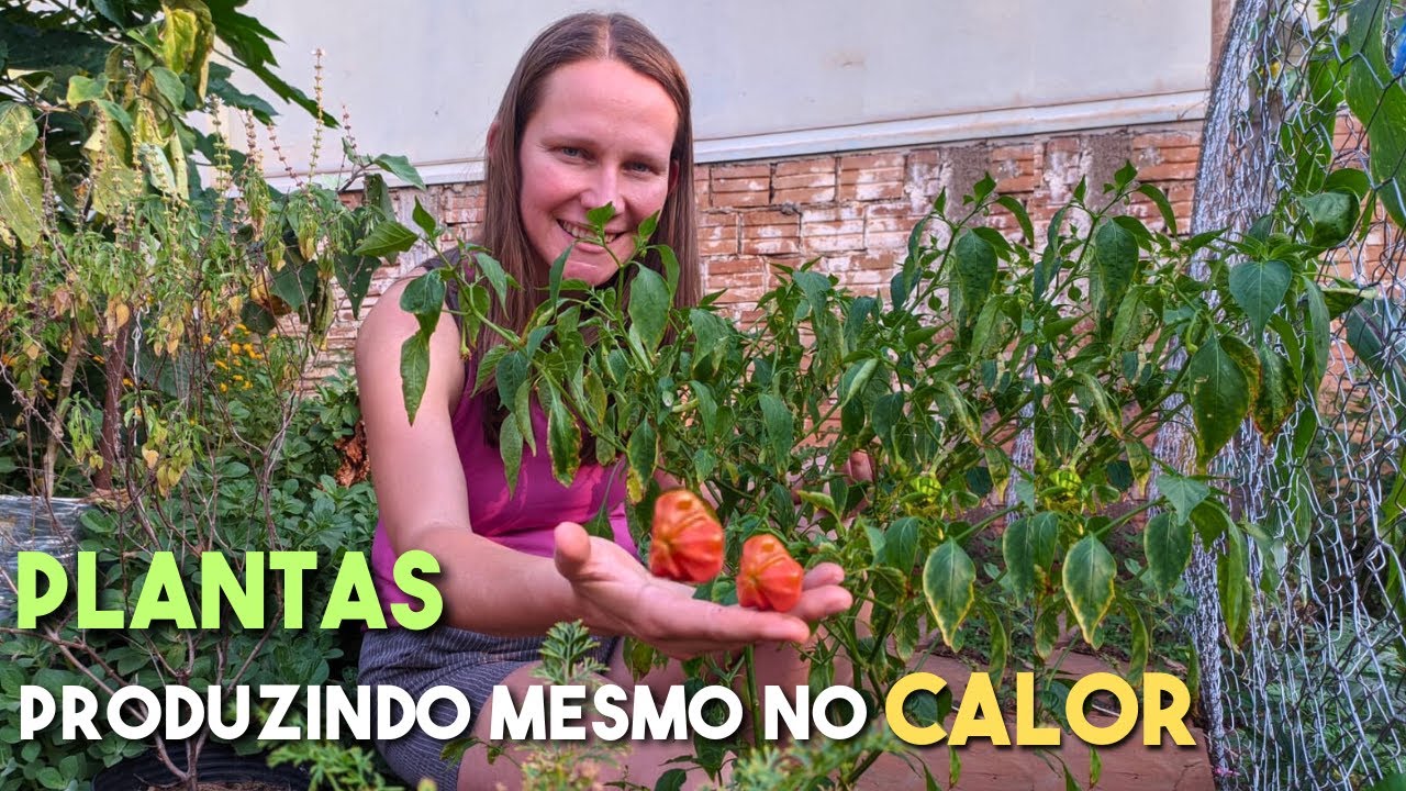 Защитите свои растения от волн жары 🌱 Выращивайте еду круглый год!