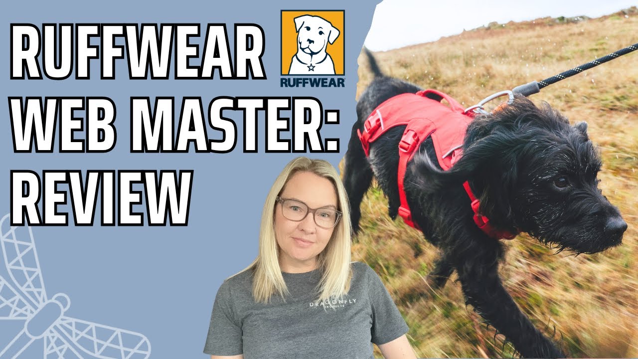 We Tried the New Ruffwear Webmaster Harness - HONEST REVIEW