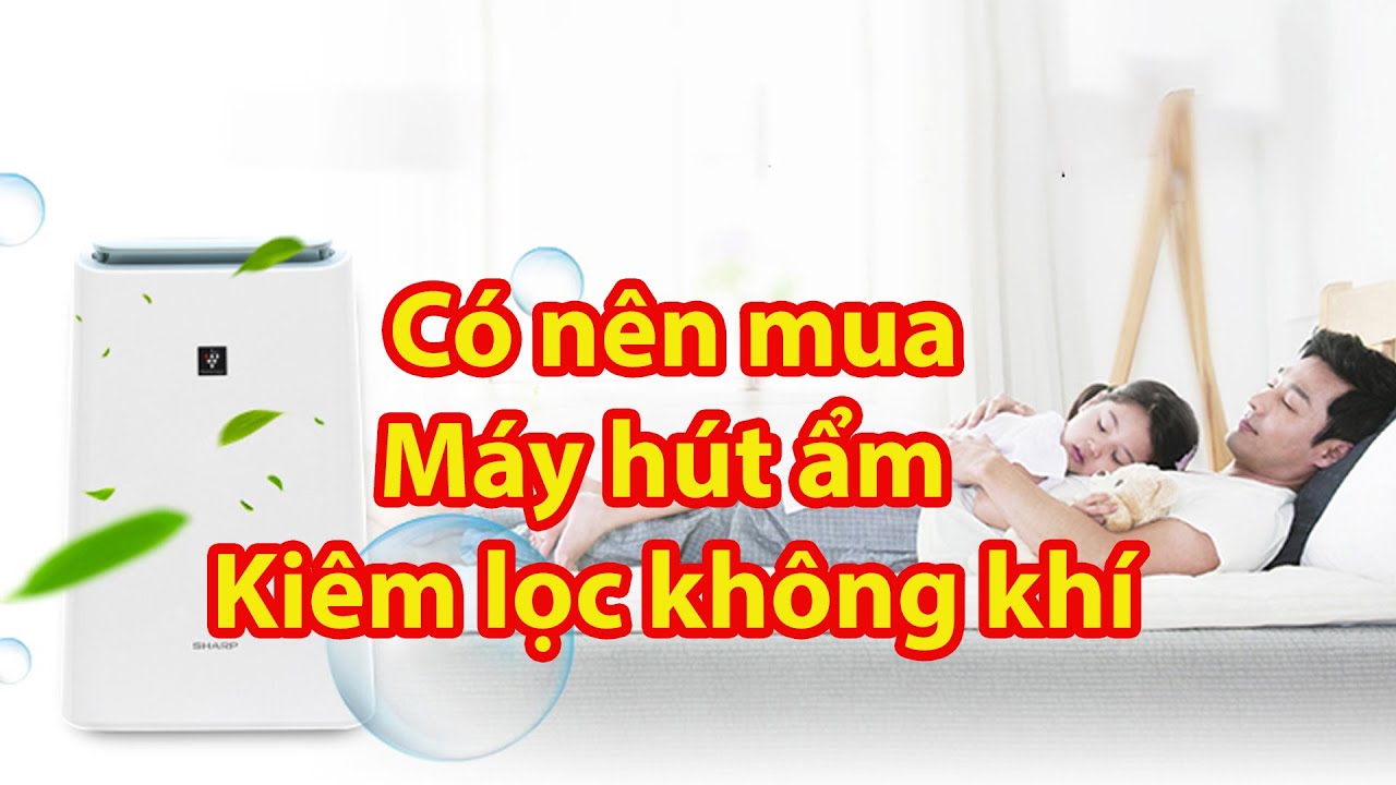 Có nên mua máy hút ẩm kiêm lọc không khí không? Điện máy An Gia