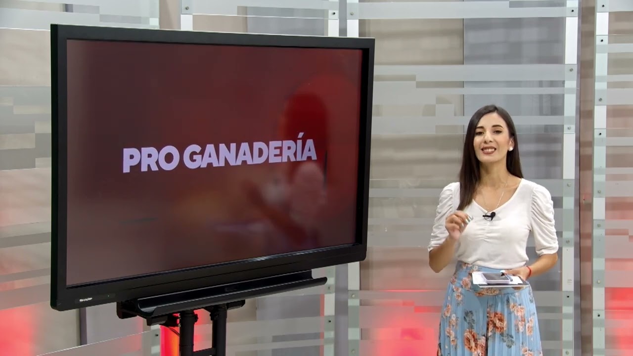 Avicultura paraguaya cerró 2025 con desafíos clave