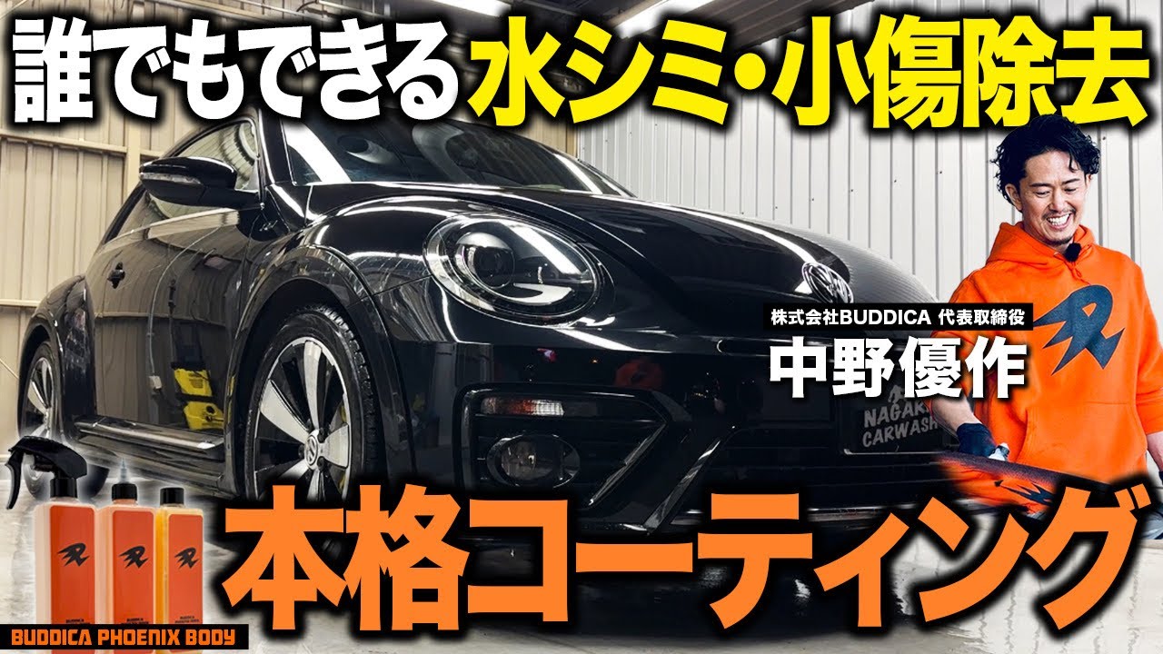 【再販開始】艶に特化したバディカフェニックスのシャンプー・ベース・コーティング簡単3ステップで徹底洗車したら極上の仕上がりになりました【BUDDICA PHOENIX BODY】