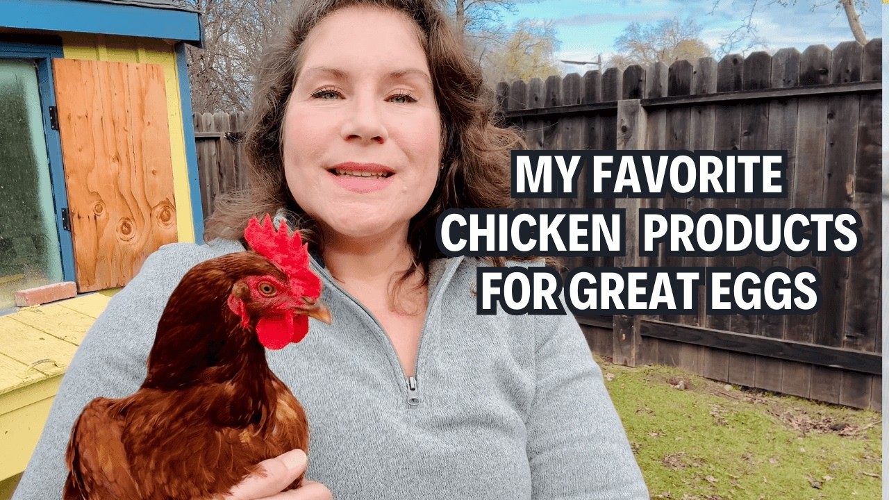 My Favorite Chicken Products for Healthy Hens and Better Eggs