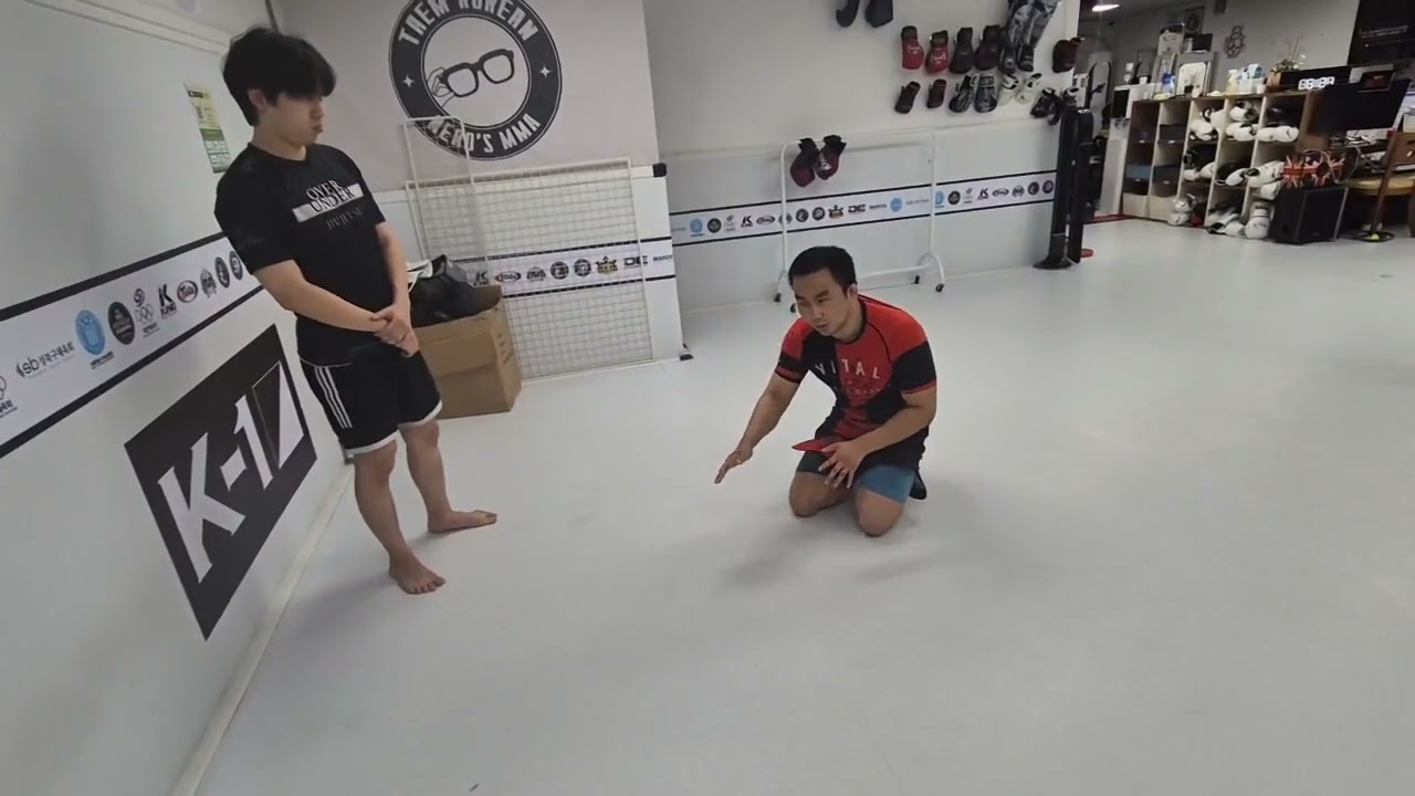 #ufc 헤비급 힐훅4연승 발터워커 힐훅분석