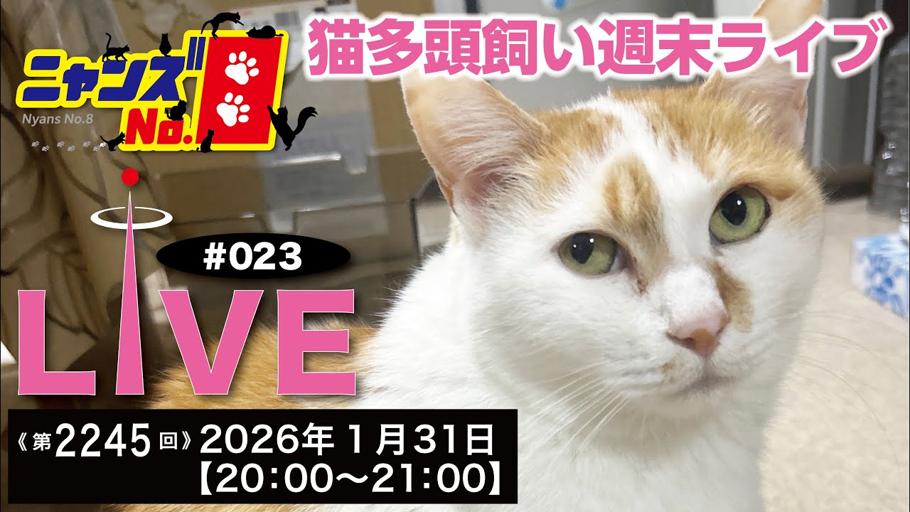 《第2245回》LIVE#023　猫多頭飼い 週末ニャンズ　ライブ