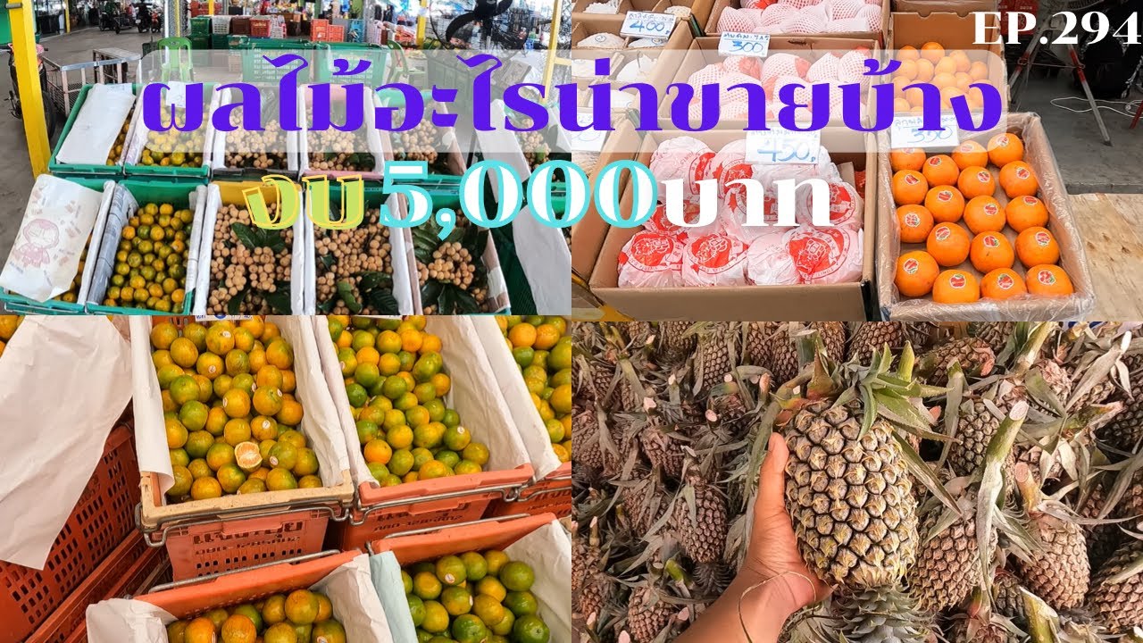 มีผลไม้อะไรน่าขายบ้าง ในงบ 5,000 บาท // เศรษฐี ไม่มีนาย EP.294