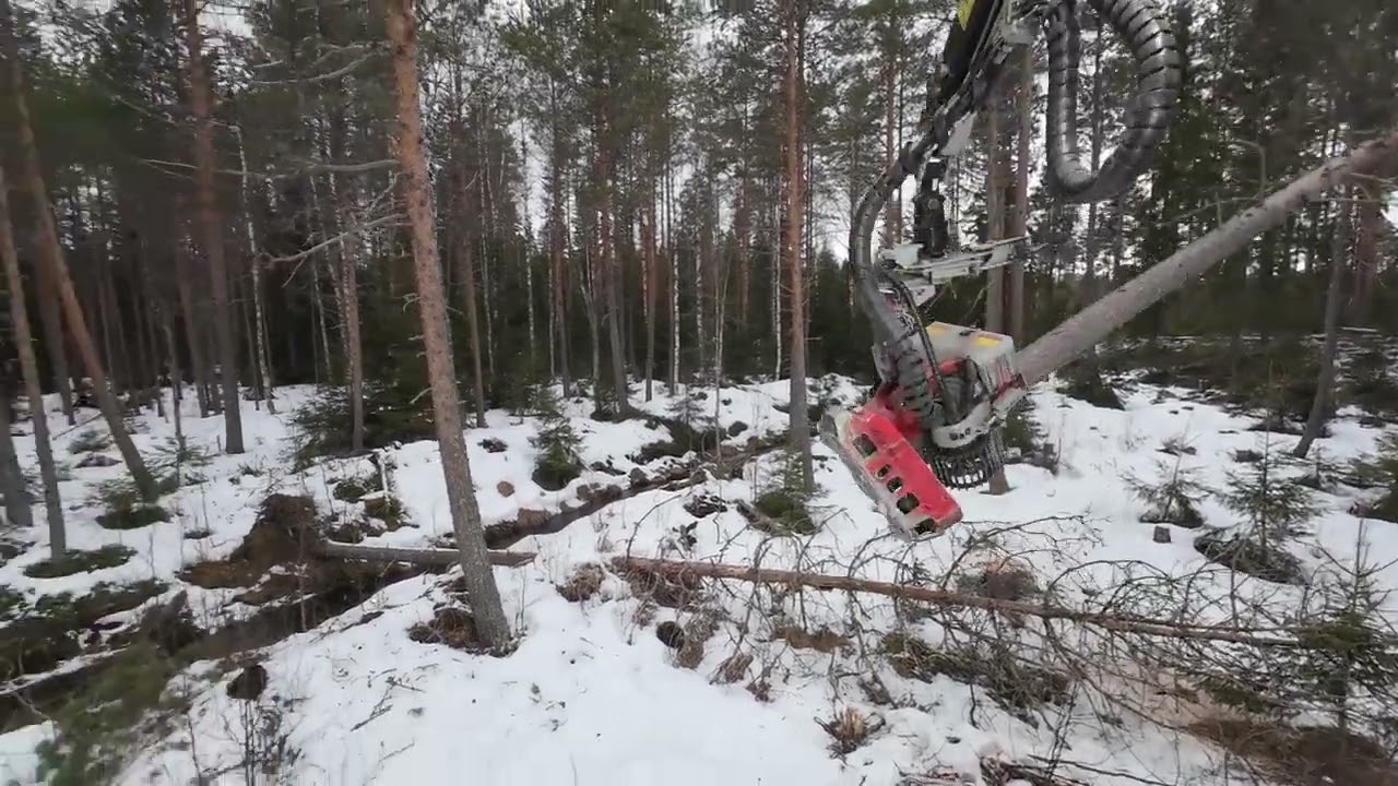 Suolla juuri ennen kelirikkoa. Komatsu 931 & Logmax 5000D