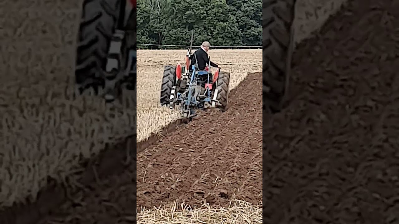 Massey Ferguson 35 with Ransomes Trailed Plough at The British National Ploughing Championships 2024