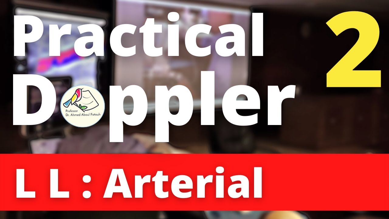 Lower Limb Arterial Doppler | Video 2 | English version