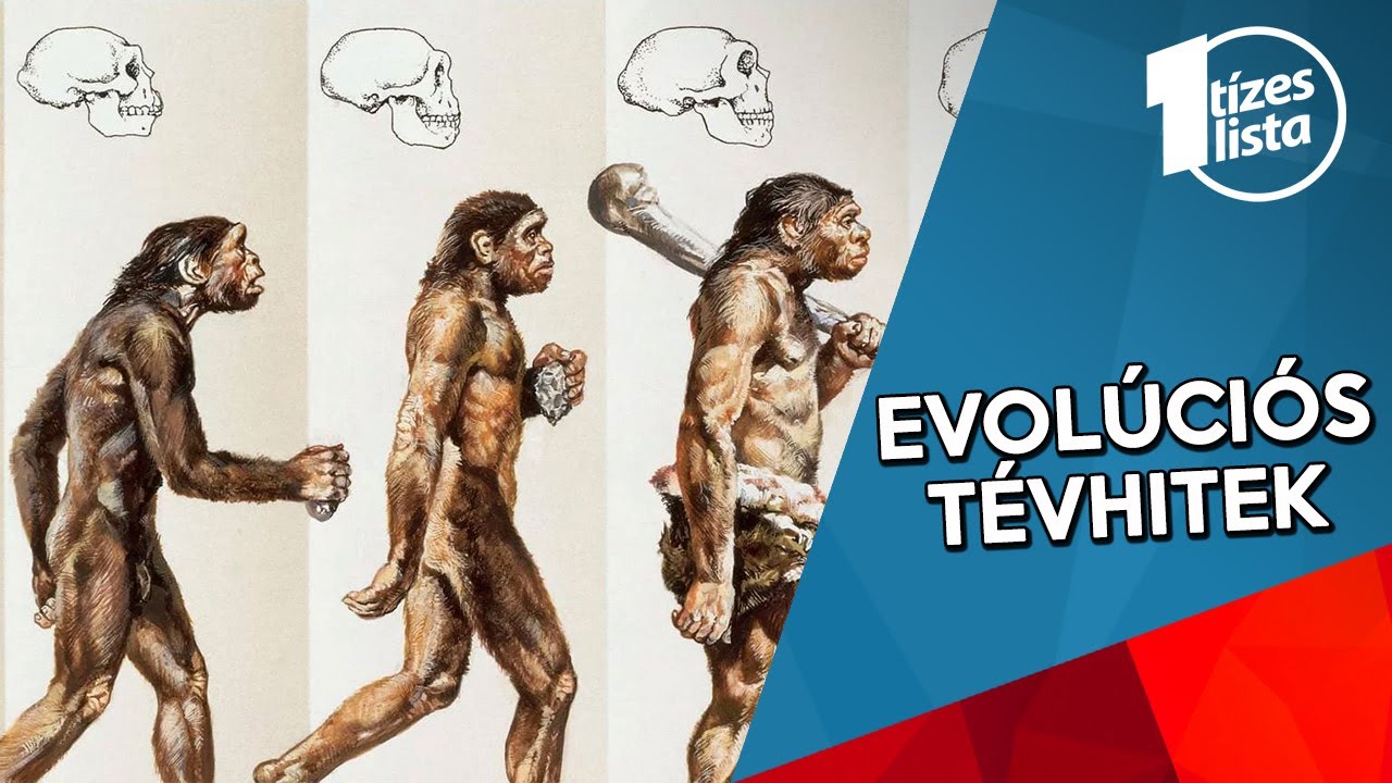 10 TÉVHIT AZ EVOLÚCIÓRÓL | Az elmélet, amit túl sokan értenek félre
