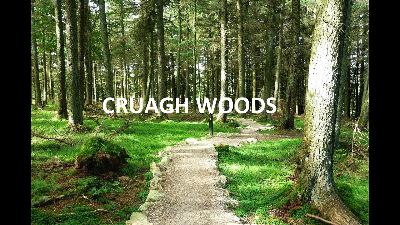 cruagh woods