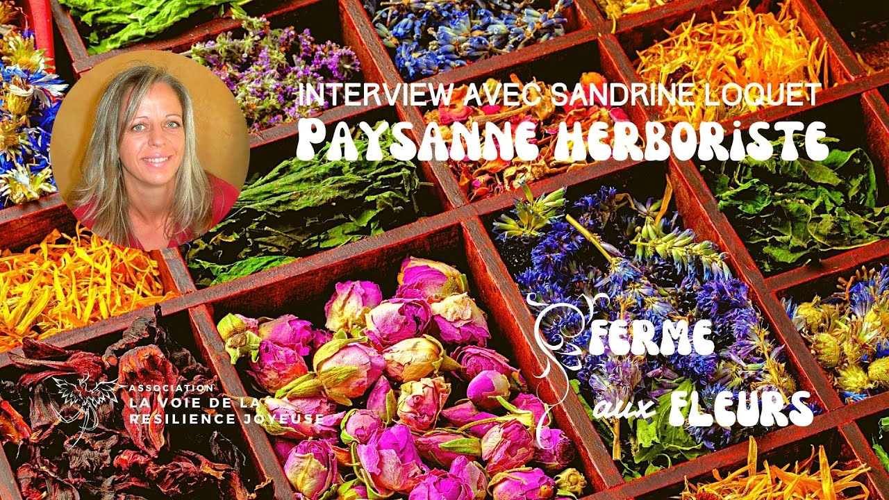 Découvrir le métier de Paysanne Herboriste avec Sadrine Loquet