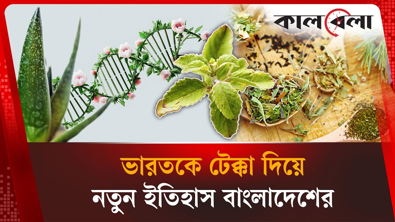Bangladesh creates largest database of medicinal plants, surpassing India | Kalbela News