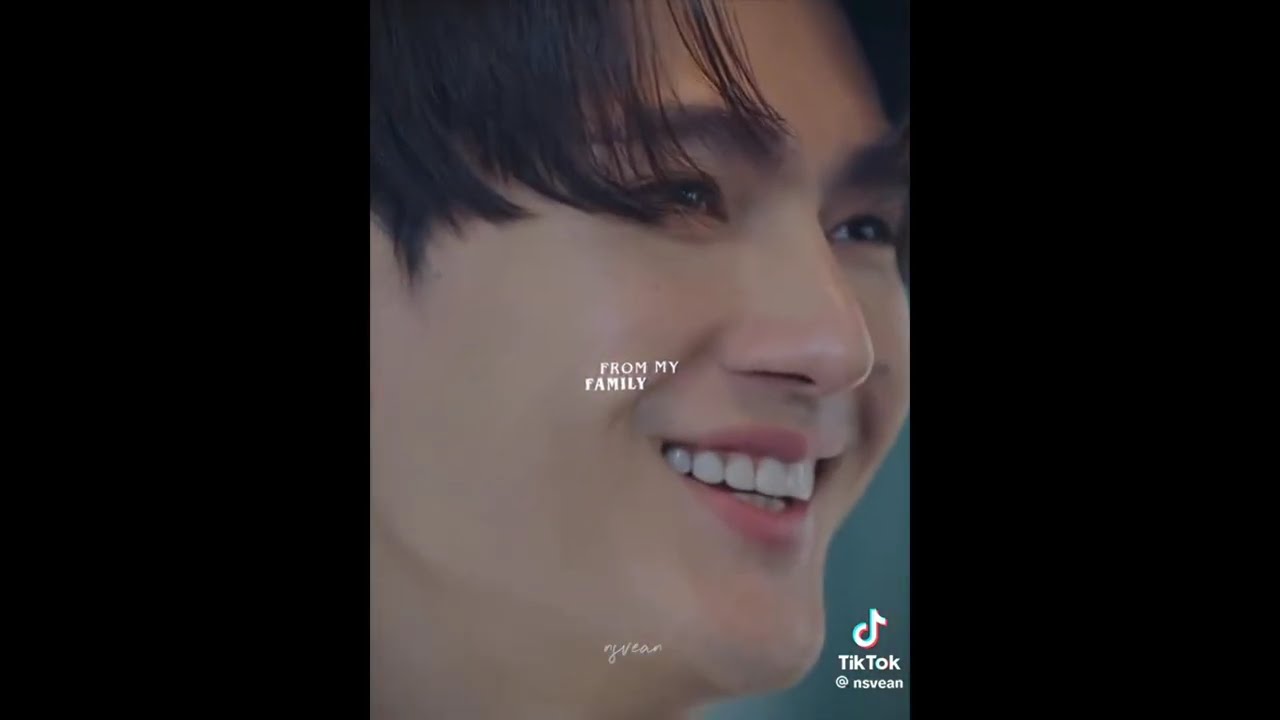 PITBABE THE SERIES TIKTOK COMPILATION FOR @Twinkles24