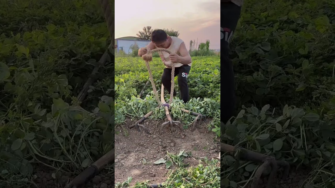 🚜🔥 Smart Farming in Action! One Powerful Tool Makes Harvesting Faster & Easier 🌱💪