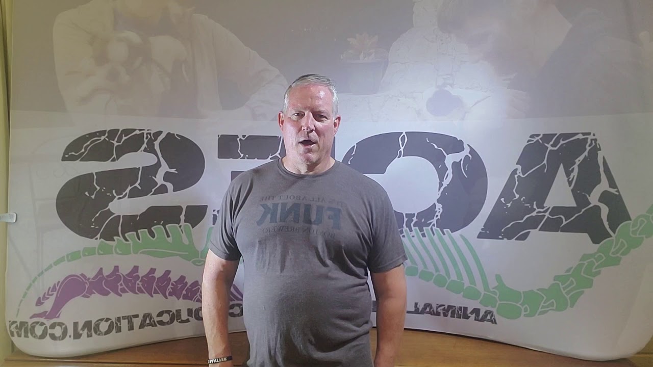 Dr. Haynes awesome adventure in Food Animal Adjusting