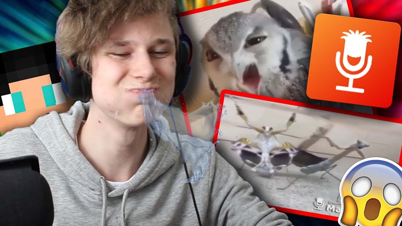 TY NEJVTIPNĚJŠÍ MADLIPZ VIDEA! - Nesmíš se zasmát, nebo... ? w/Dejzr