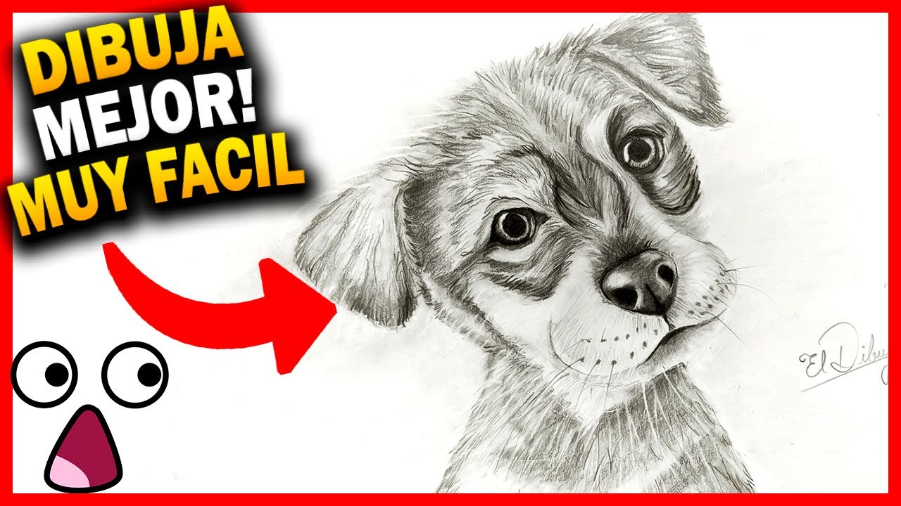 Como DIBUJAR un PERRO REALISTA 🐶 paso a paso *DIBUJO DE ANIMALES* [Muy Fácil]