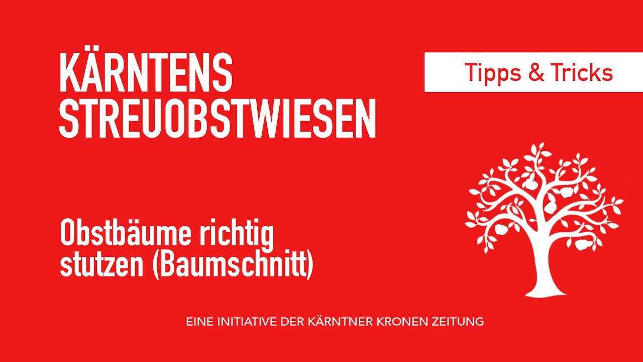 Kärntens Streuobstwiesen: Obstbäume richtig stutzen (Baumschnitt)