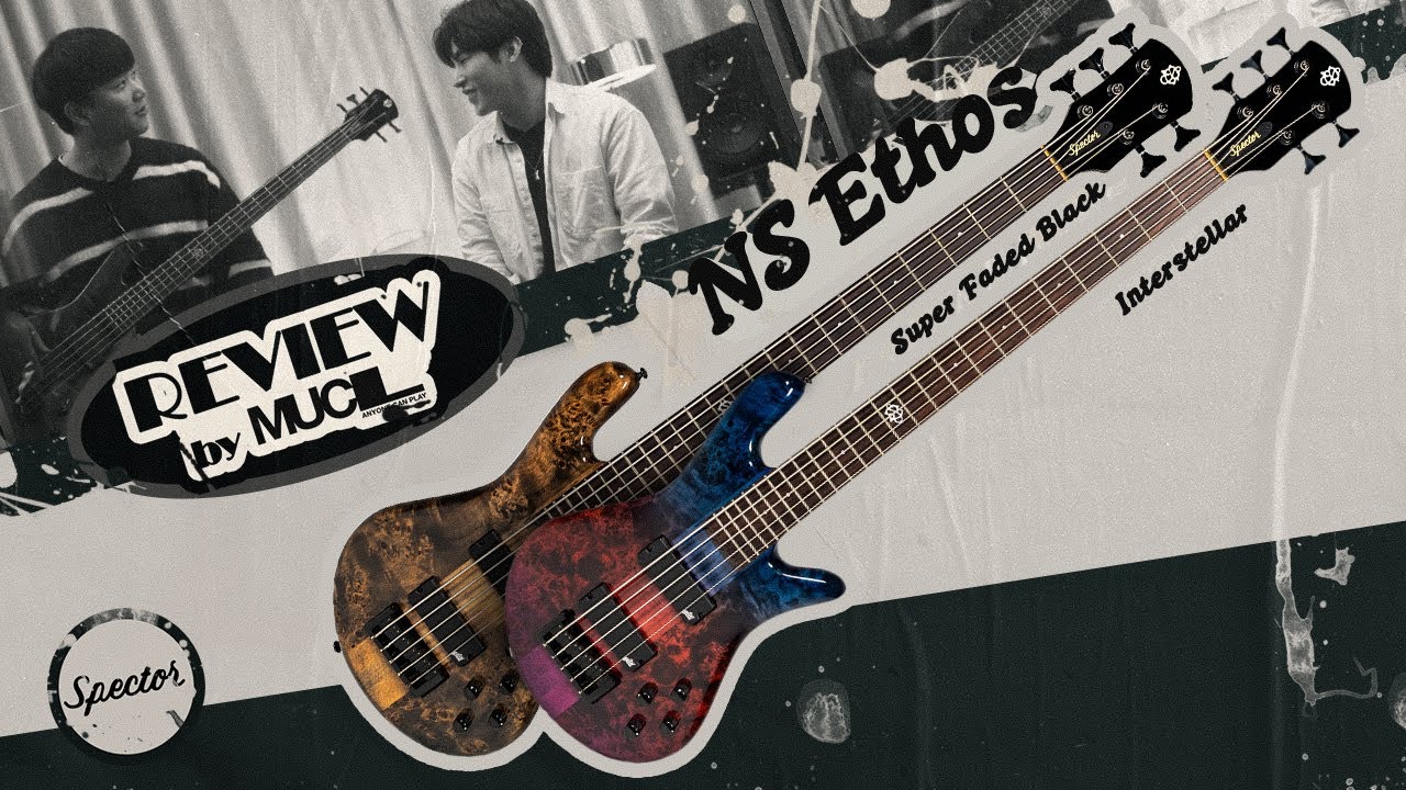 🎸 호원대학교 베이스 전공생이 뜯어보는 스펙터 NS Ethos  솔직리뷰 | REVIEW by MUCL
