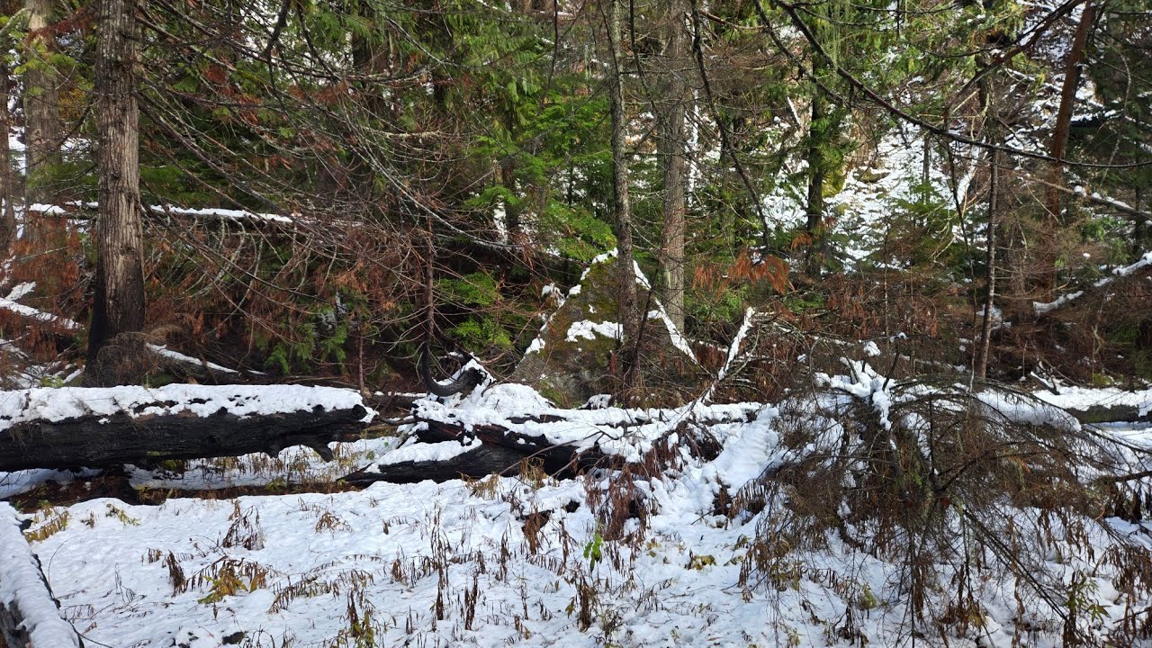 Secret hidden hotspring in BC mountains