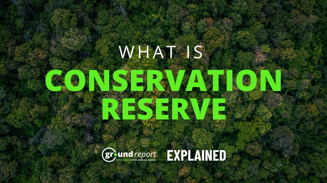 How Conservation Reserve Is Different From A Sanctuary? | Explained Hindi