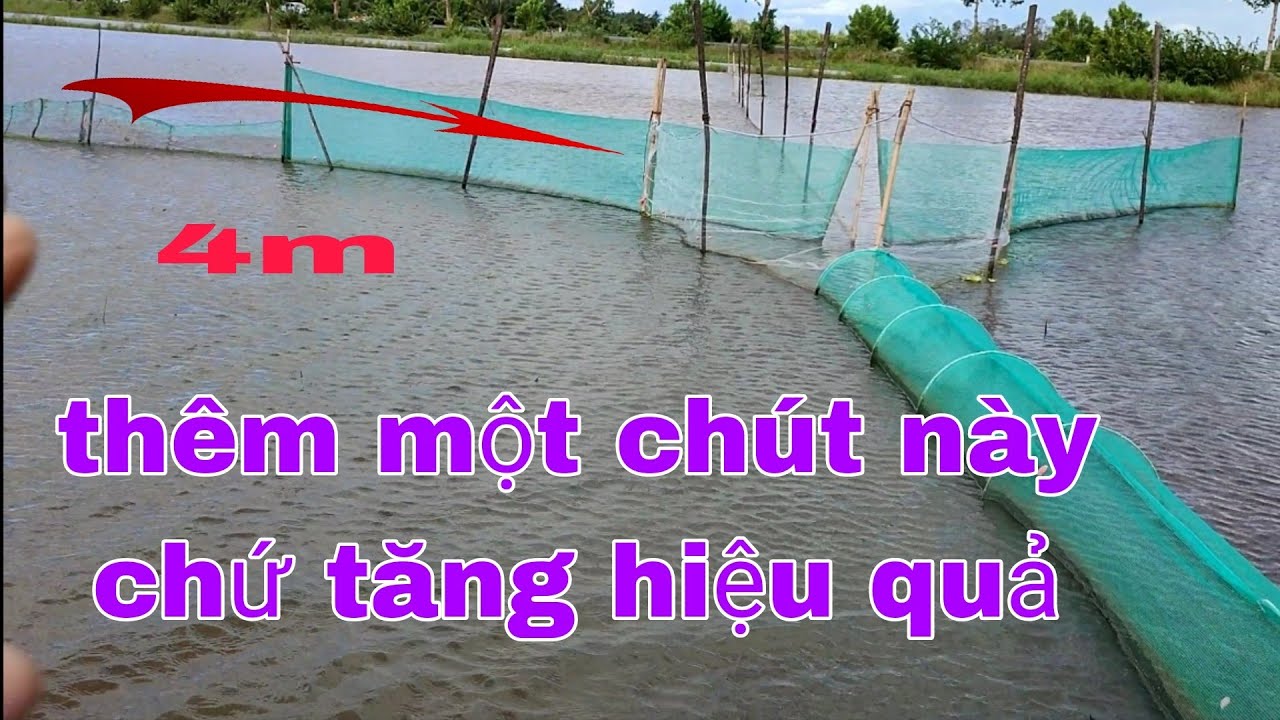 kĩ thuật mới giúp tăng hiệu quả bắt cá của cái giớn xây bồn #fishtrap
