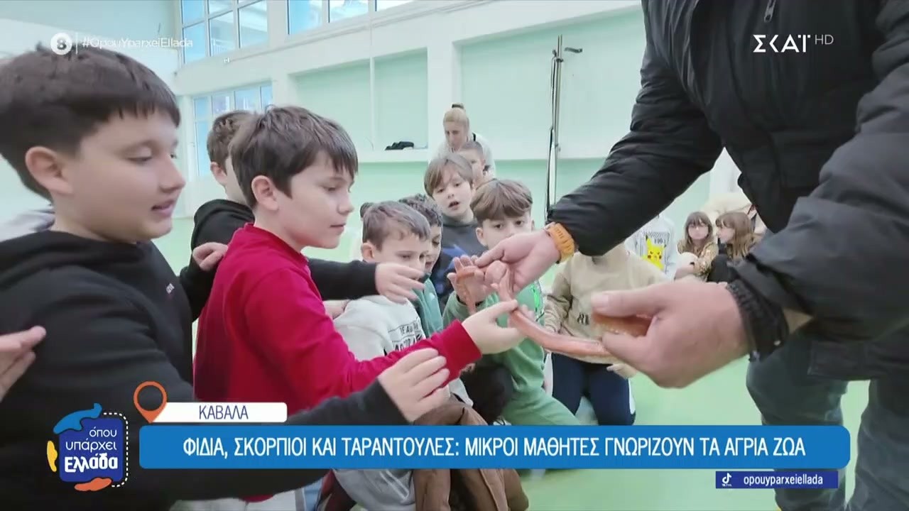 Φίδια, σκορπιοί και ταραντούλες – Μικροί μαθητές στην Καβάλα γνωρίζουν περίεργα ζώα