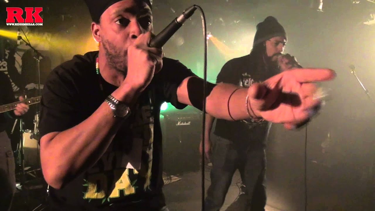 Lion Killa feat. Streup Daddy - Faya (Live) ♬ Jan. 2015