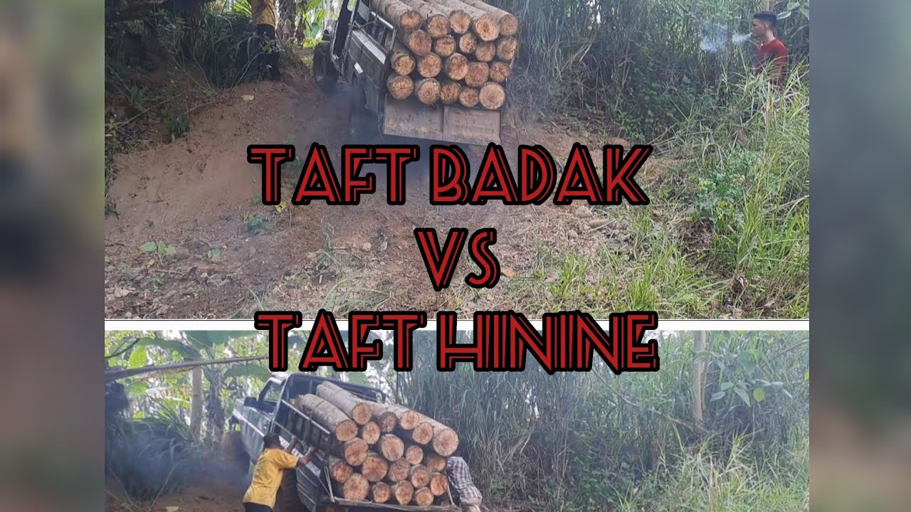 taft badak vs taft hiline || kita saksikan siapa yg tidak kuat⁉️😅😅😂😂