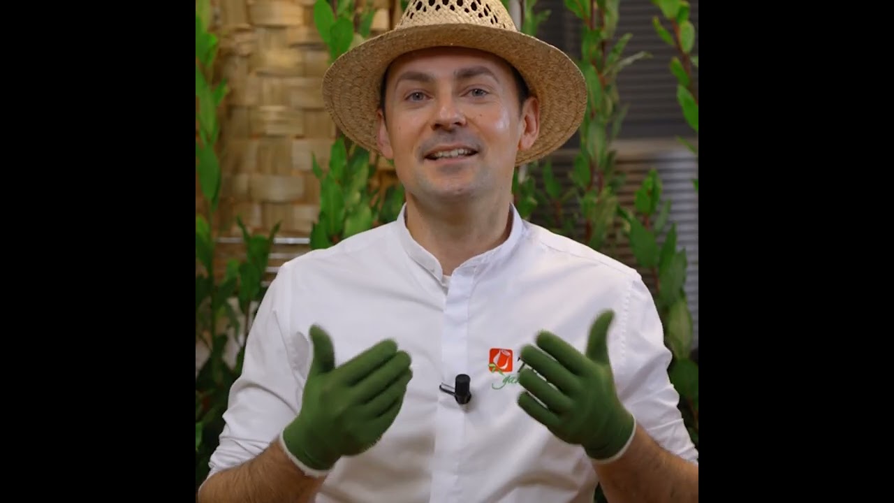 Olio di Neem: come usarlo