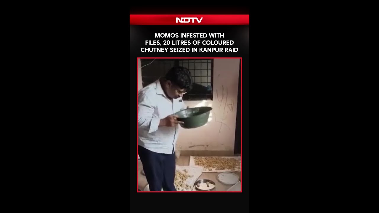 Momos Infested With Flies, 20 Litres Of Coloured Chutney Seized In Kanpur Raid