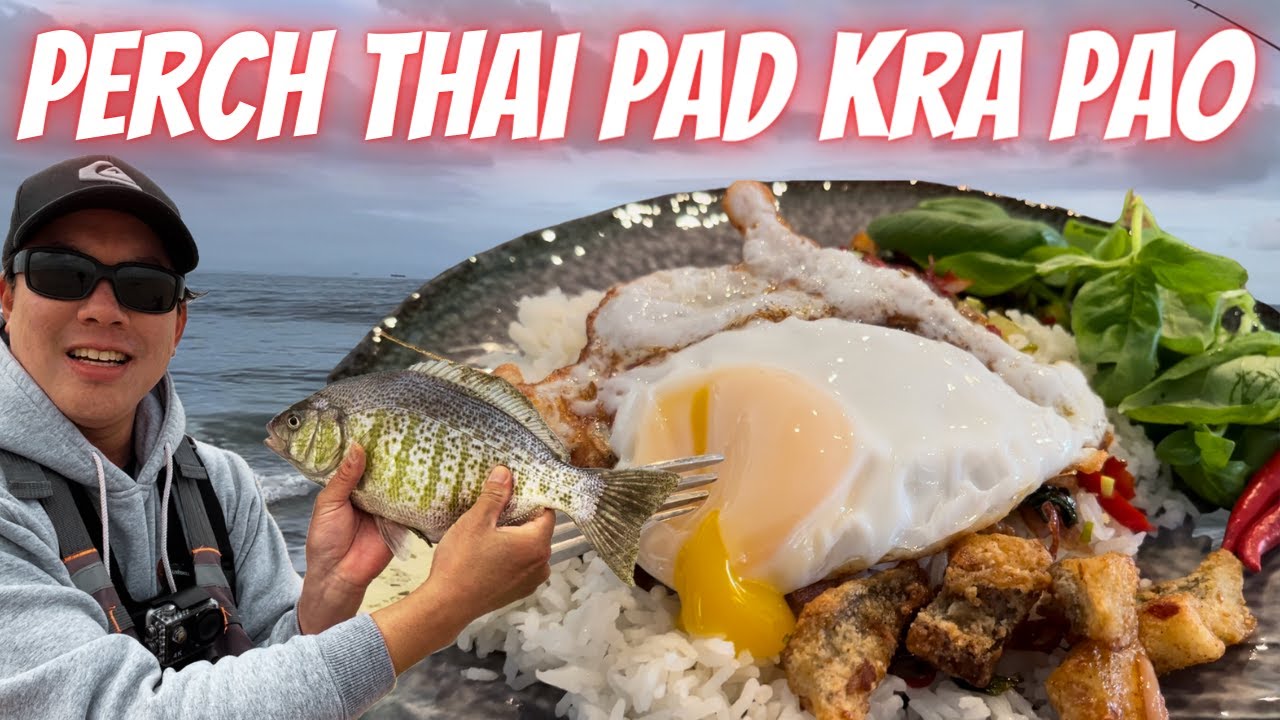 Surf Fishing Catch & Cook!  THE BEST THAI PAD KRA PAO but with SURF PERCH!