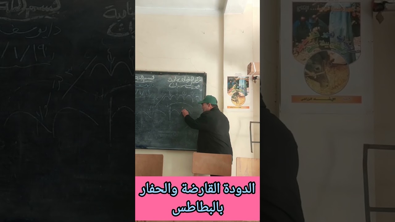 الدودة القارضة والحفار 