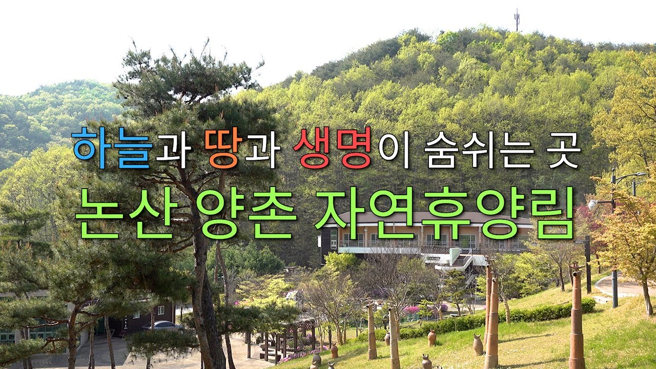 논산 양촌자연휴양림 2년여만에 재개장