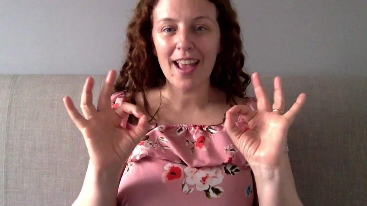 BSL Course Level 1-Travelling-Subtitles Available